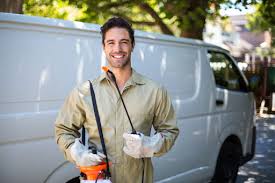 Best Termite Inspection and Treatment  in Elmwood, IL